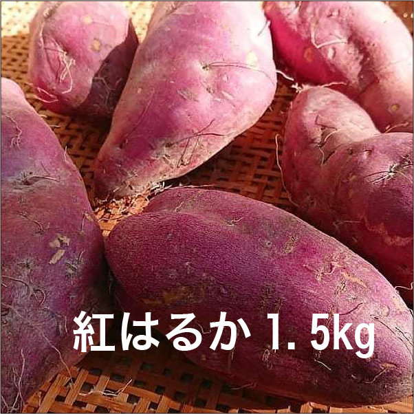 オーガニック　紅はるか　[1.5kg]　しっとりねっとり蜜がいっぱい