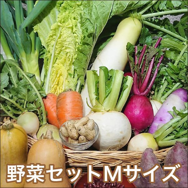 いろや農園のお野菜セット[Ｍサイズ]