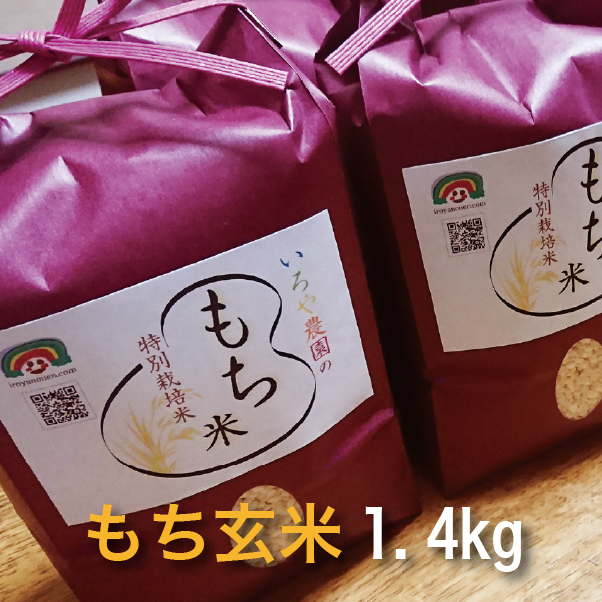 特別栽培 もち米　こはるもち【玄米】　[1.4kg]