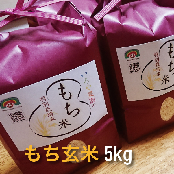 特別栽培 もち米　こはるもち【玄米】　[5kg]