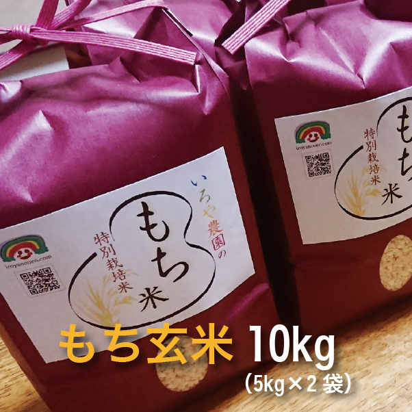 特別栽培 もち米　こはるもち【玄米】　[10kg]